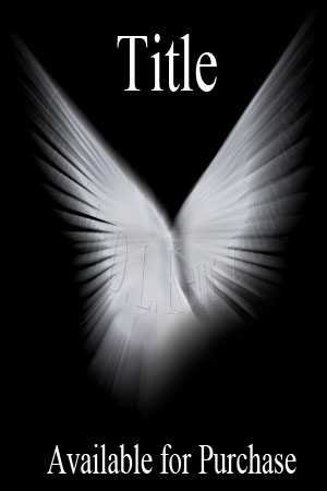 available book cover, wings, angel, heaven, black and white